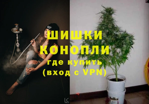 индика Богородицк